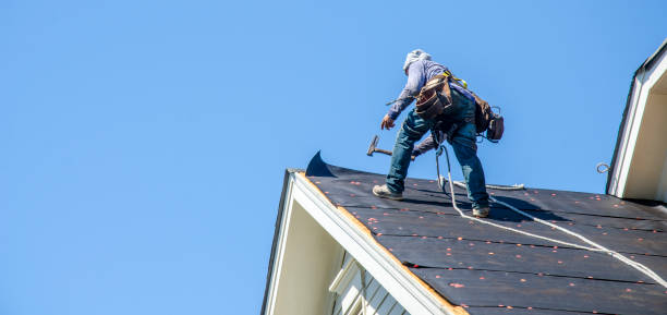 Roof Gutter Cleaning in Hansen, ID